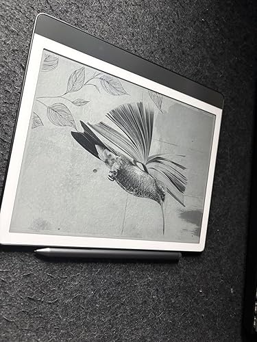 Amazon.co.jp: Kindle Scribe Notebook Design - 10.2インチ