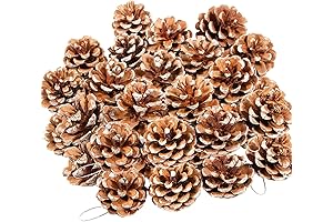 Natural Rustic 24-Piece Pine Cone Christmas Tree Embellishments
