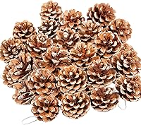 Vista 1 de 24 piñas de pino natural de Navidad, piñas rústicas con cuerda para manualidades y decoración de invierno Xmax Holidays jarrón y relleno de tazón