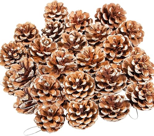 24 piñas de pino natural de Navidad, piñas rústicas con cuerda para manualidades y decoración de invierno Xmax Holidays jarrón y relleno de tazón de