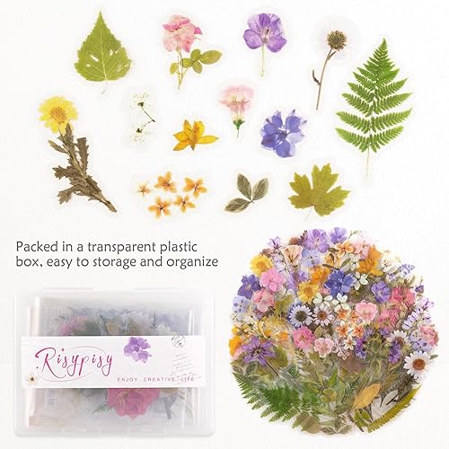 Miniatura 4 de 160 calcomanías naturales precortadas para álbumes de recortes, florales y plantas, para manualidades, planificadores, diarios, cuadernos, laptop,