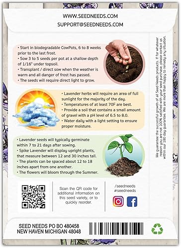 Miniatura 2 de Seed Needs, Semillas de lavanda Spike para plantar (Lavandula latifolia), paquete individual de 500 semillas cada una, reliquia fragante atrae
