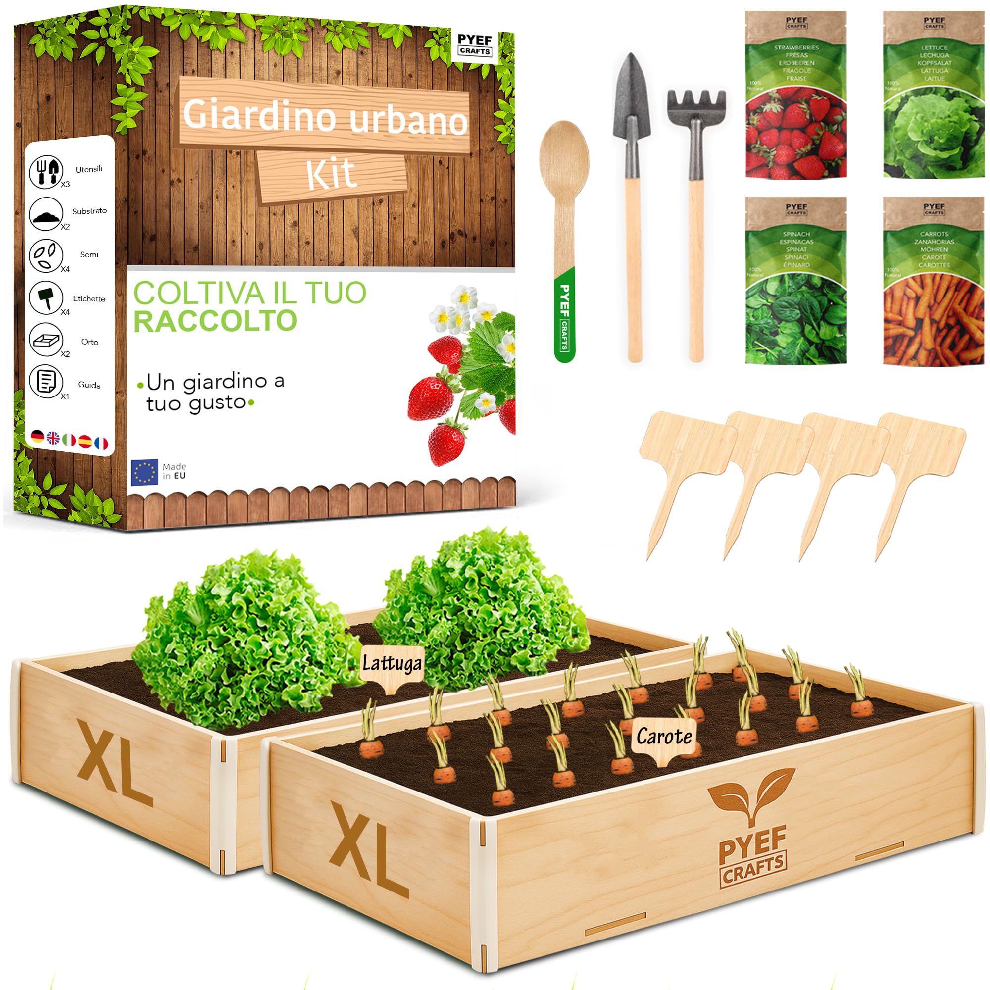 Kit Giardinaggio (2ud) XL per Orto in Casa 2x Kit Piante da Far Crescere - Orto da Balcone & da Interno - Piantina da Far Crescere Germinazione 4 Semi