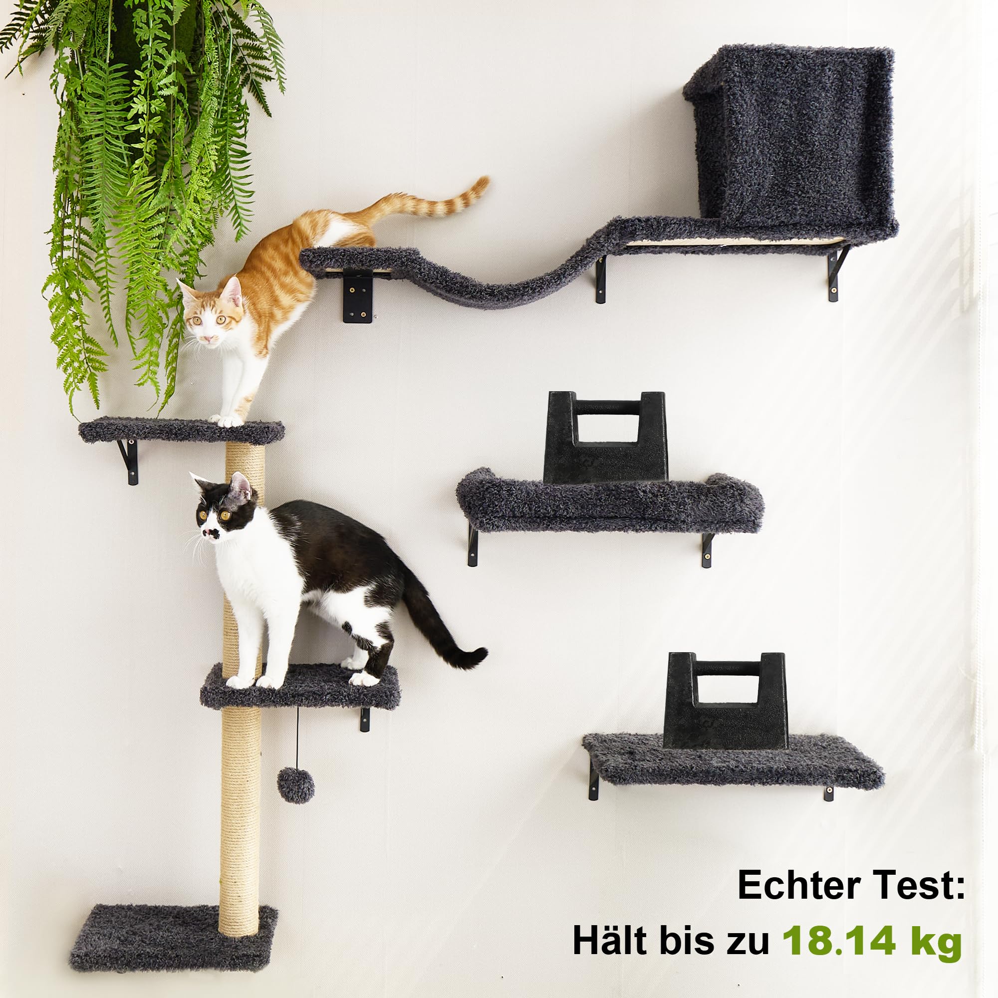 TOOSOAR Katzen Kletterwand Set Mit Hängematte & Treppen - Bis 20kg Für Aktive Katzen