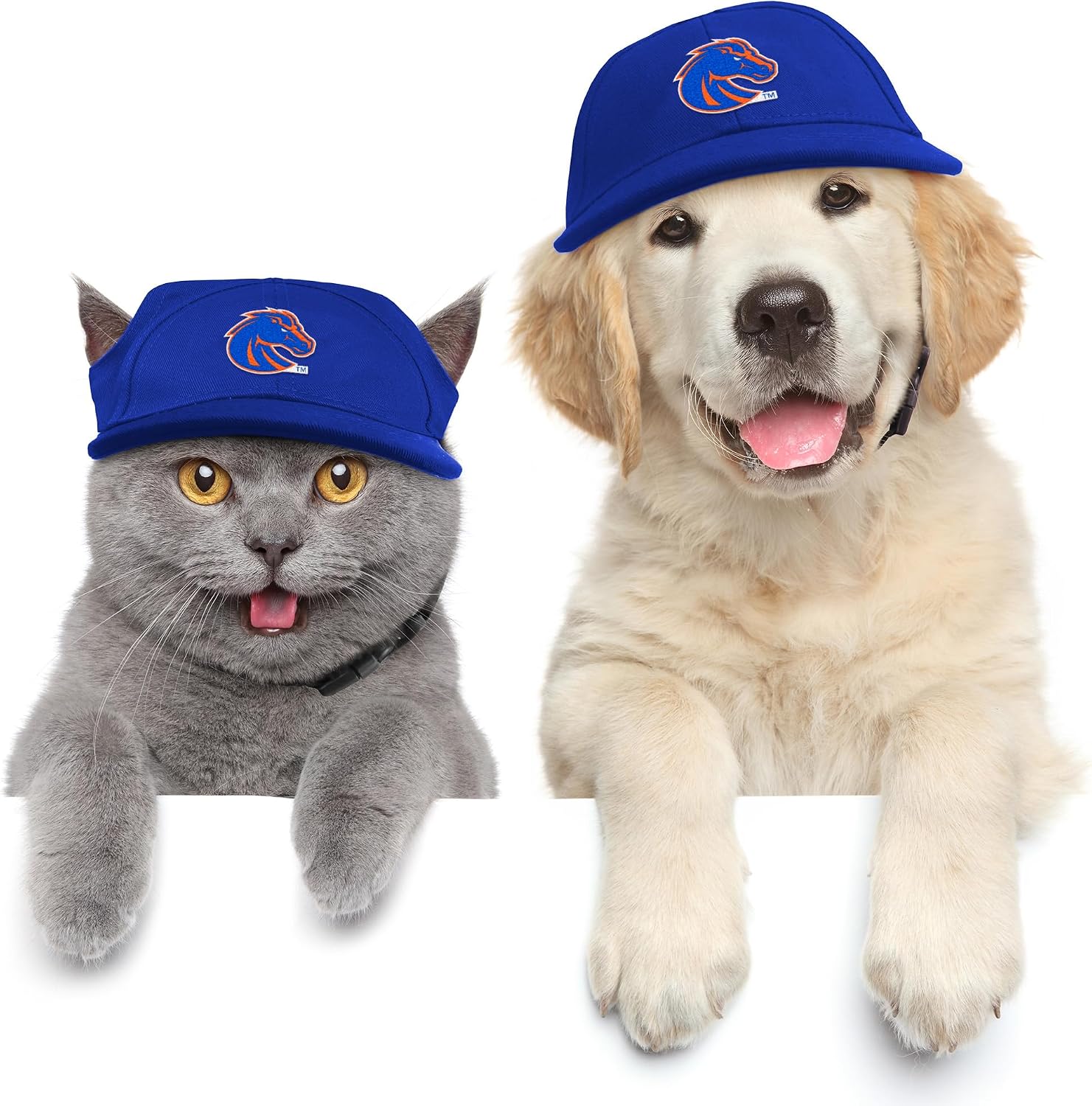 Littlearth Unisex NCAA Pet Baseball Hat