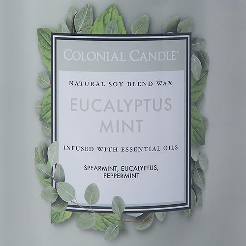 Vista 174 de Colonial Candle Vela perfumada en frasco, cilindros clásicos, brillo navideño, 2 mechas, 19 onzas, morado