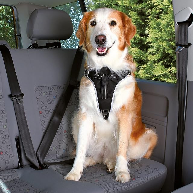Foto 4 de 4 de TRIXIE Arnés Seguridad Dog Protect, L, 65-80cm/25mm, Ng
