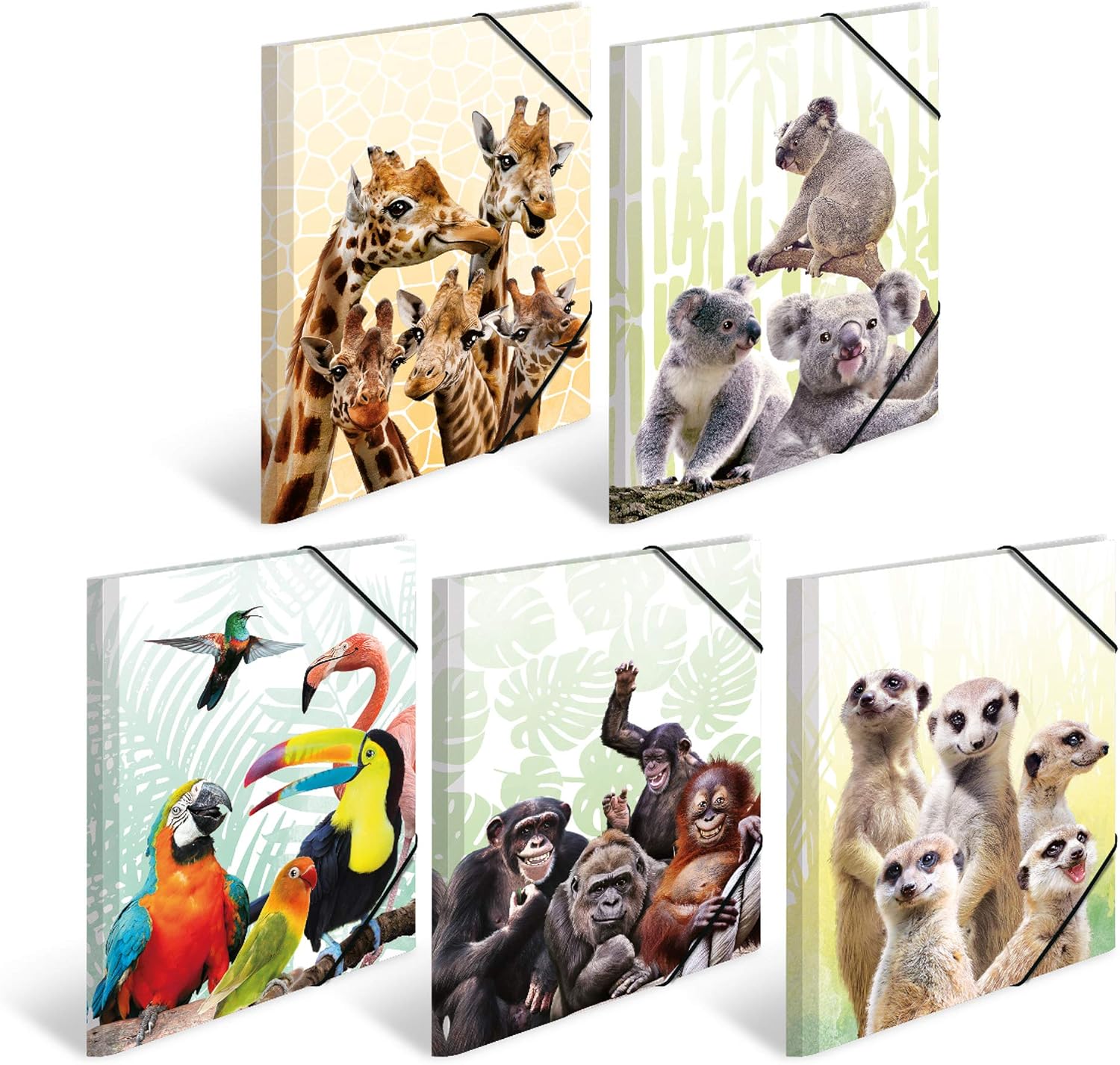 HERMA 19965 Sammelmappe DIN A3 Exotische Tiere 10er Set, stabiler Kunststoff, Ordnungsmappe mit vollständigen Innendruck und Gummizug, Zeichenmappe für Kinder, Mädchen und Jungen
