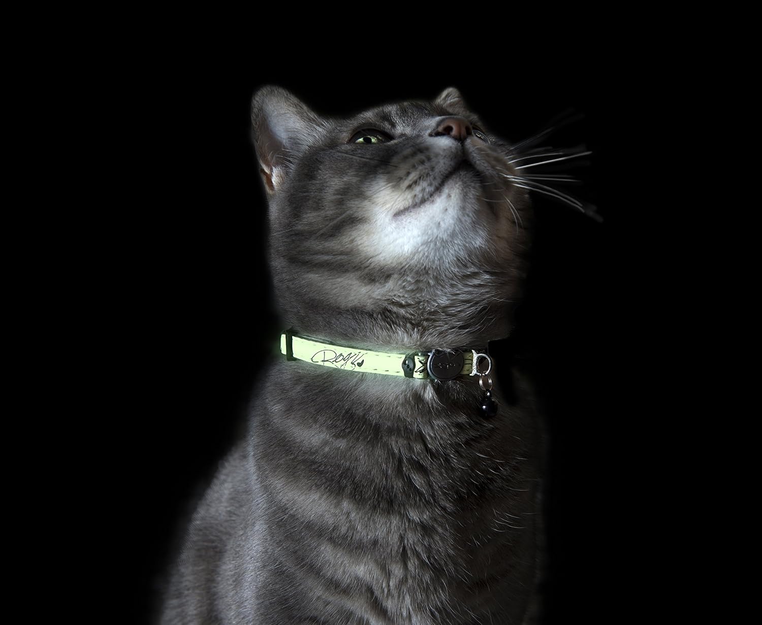 rogz reflective cat collar