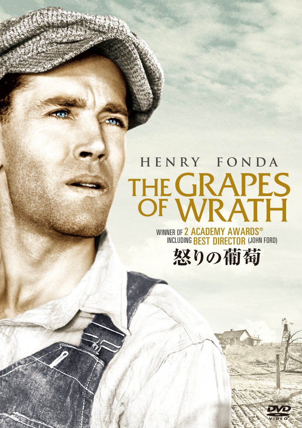 レア 映画パンフレット 怒りの葡萄 The Grapes of Wrath 19 Amazon.co.jp: 怒りの葡萄 [DVD] : ヘンリー・フォンダ, ジェーン