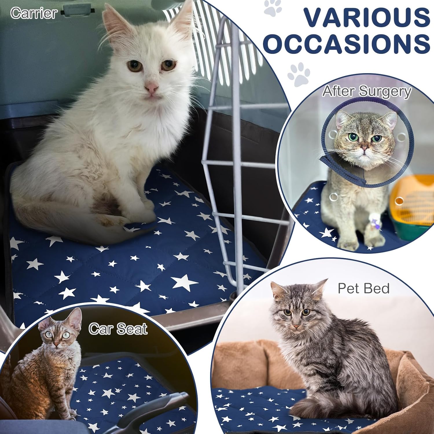 Namalu 4 Pack Self Warming Cat Bed Self Heating Cat Mat Star Pattern Soft Dog Crate Pad Thermal Pet Mat Anti Slip Kennel Dog Washable Warming Bed for Outdoor Indoor(18 x 24 Inch,Blue)