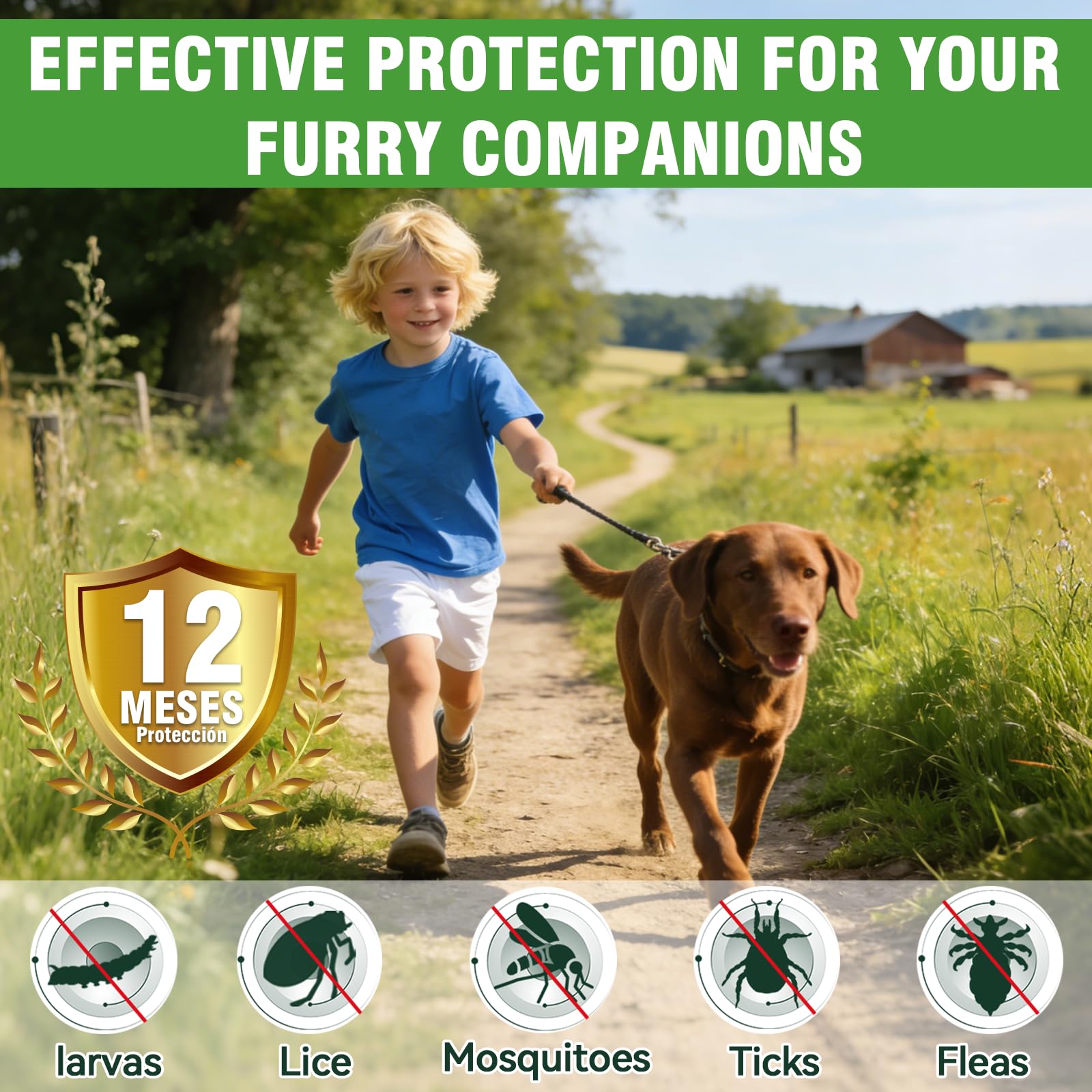 Collier Anti Puces pour Chien, Collier Anti Puce Chien Naturel, Ajustable et Doux pour la Peau, Protection Efficace Jusqu'à 12 Mois, Imperméable, Adapté aux Chiens Petits, Moyens et Grands, 65cm - 4