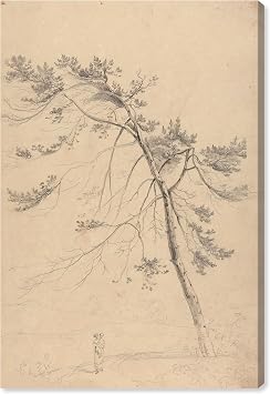 Art Remedy A Fir Tree on the Way Canvas Vintage Landscape Art, Gallery Wrapped, 20" x 30"