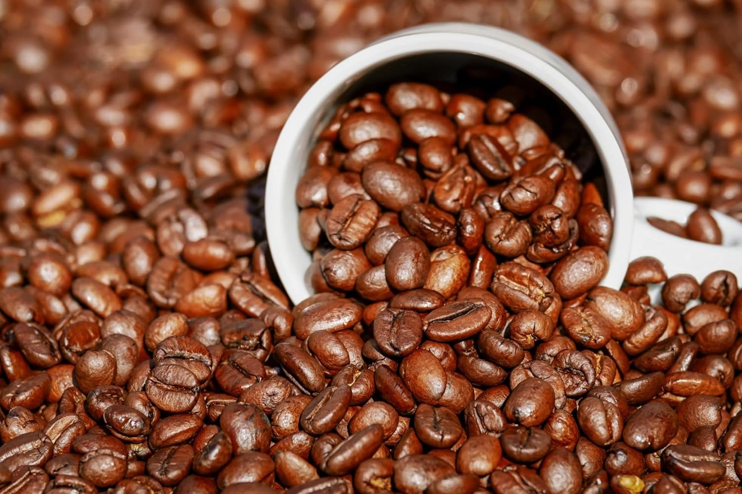 Chef's Quality Colombian Whole bean coffee, 2.5 Pound Bag