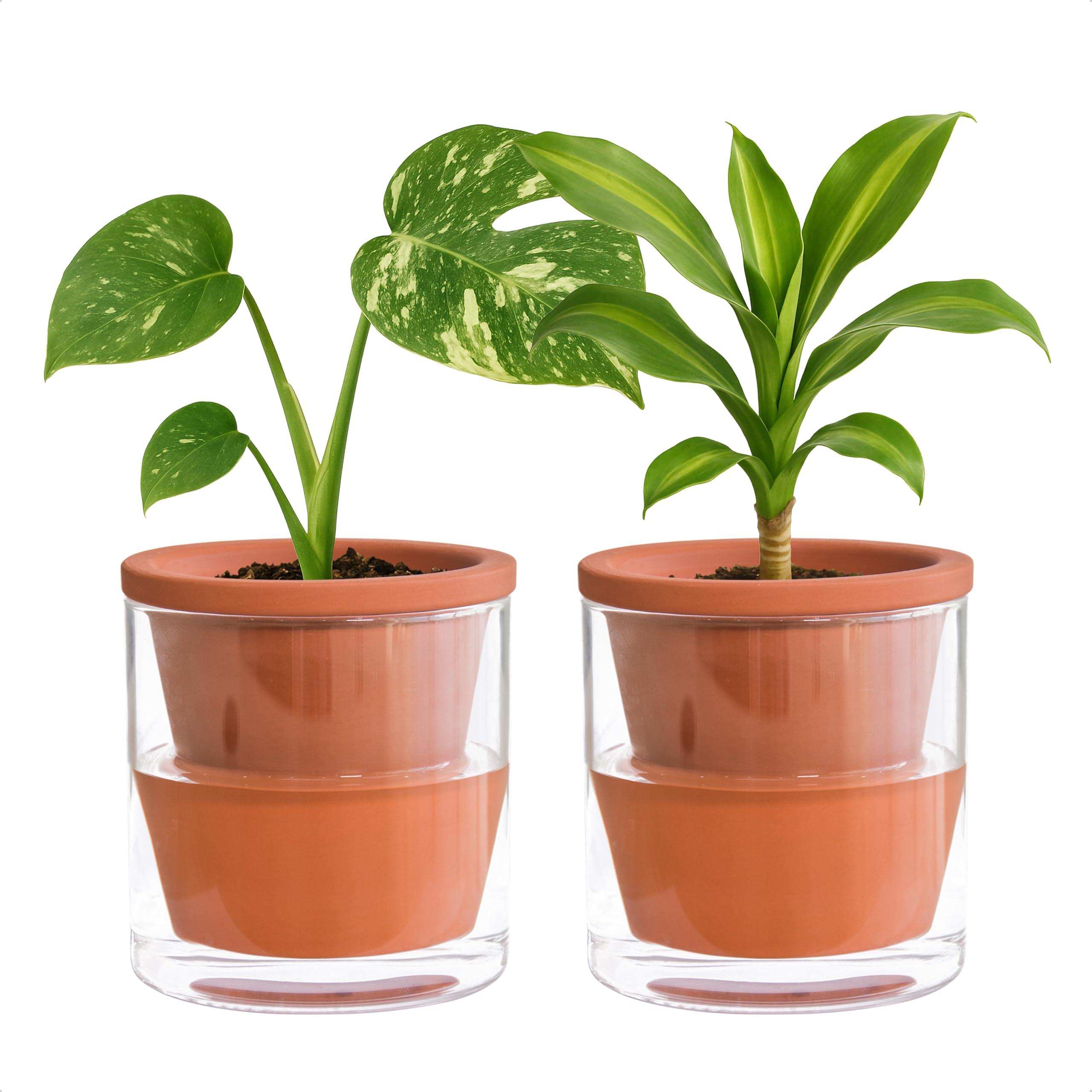 D'vine Dev Self-Watering Pot