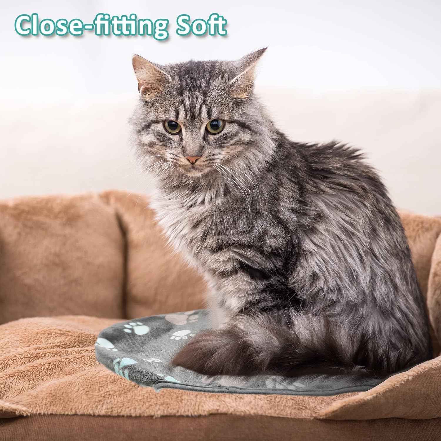 Tegeme 12 Pieces Pet Blanket Soft Fleece Dog Blanket Fluffy Doggie Blanket Warm Felt Throw Blanket Cute Paw Print Throw Blanket Puppy Kitten Sleep Mat Bed Covers for Dog Puppy Cat (Dark Gray) : Pet Supplies