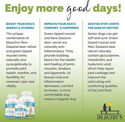 Miniatura 7 de Dr. Buzby's Encore Mobility - Suplemento de cadera y articulaciones para perros mayores, 90 tabletas masticables, terciopelo natural de ciervo de
