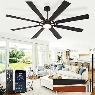 Large Ceiling Fans Lights