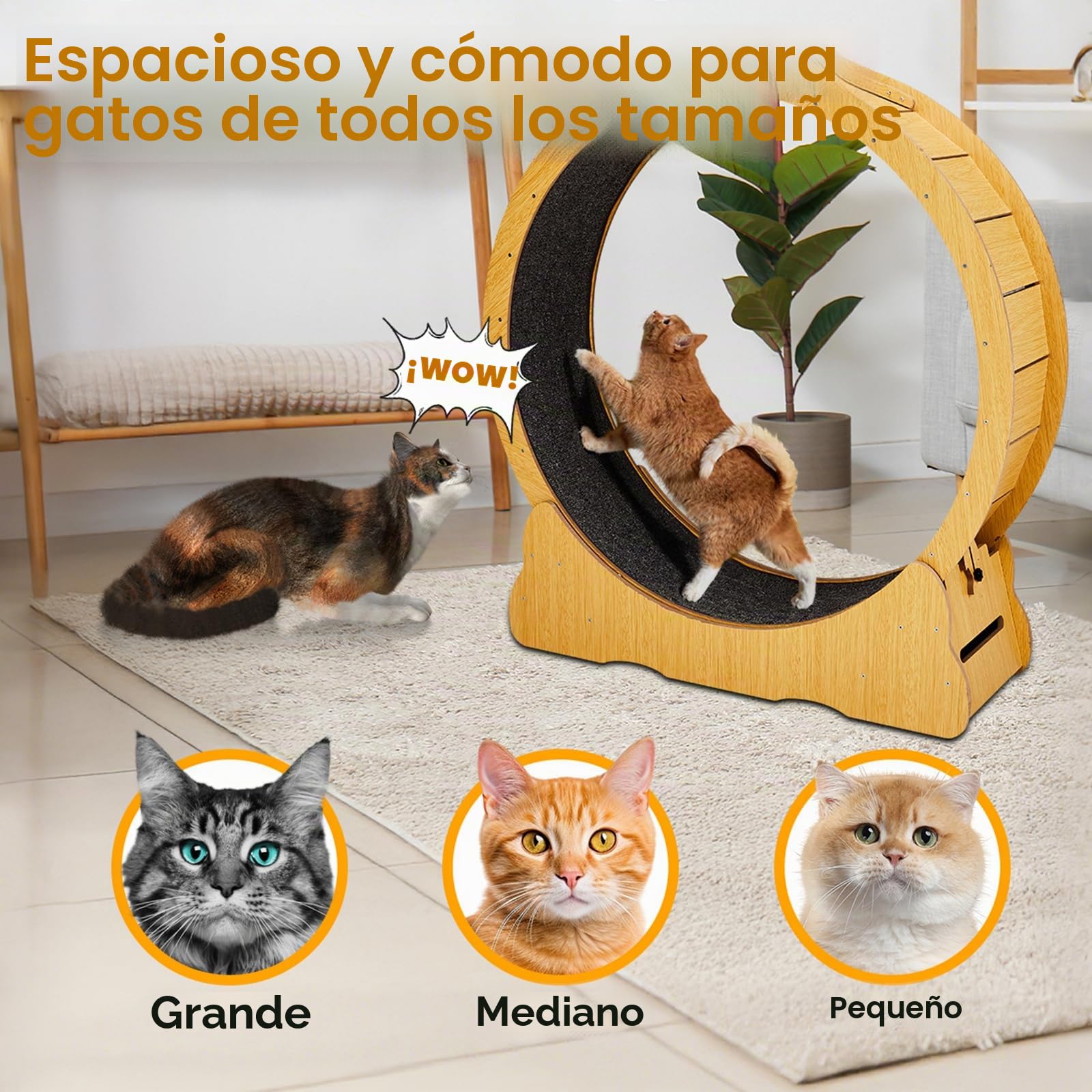 LEADZM - Rueda de ejercicio para gatos (100 cm, rueda para gatos grandes, tablero de fibras de alta densidad, resistente a los arañazos, estable y silencioso), peso máximo 11 kg, color madera