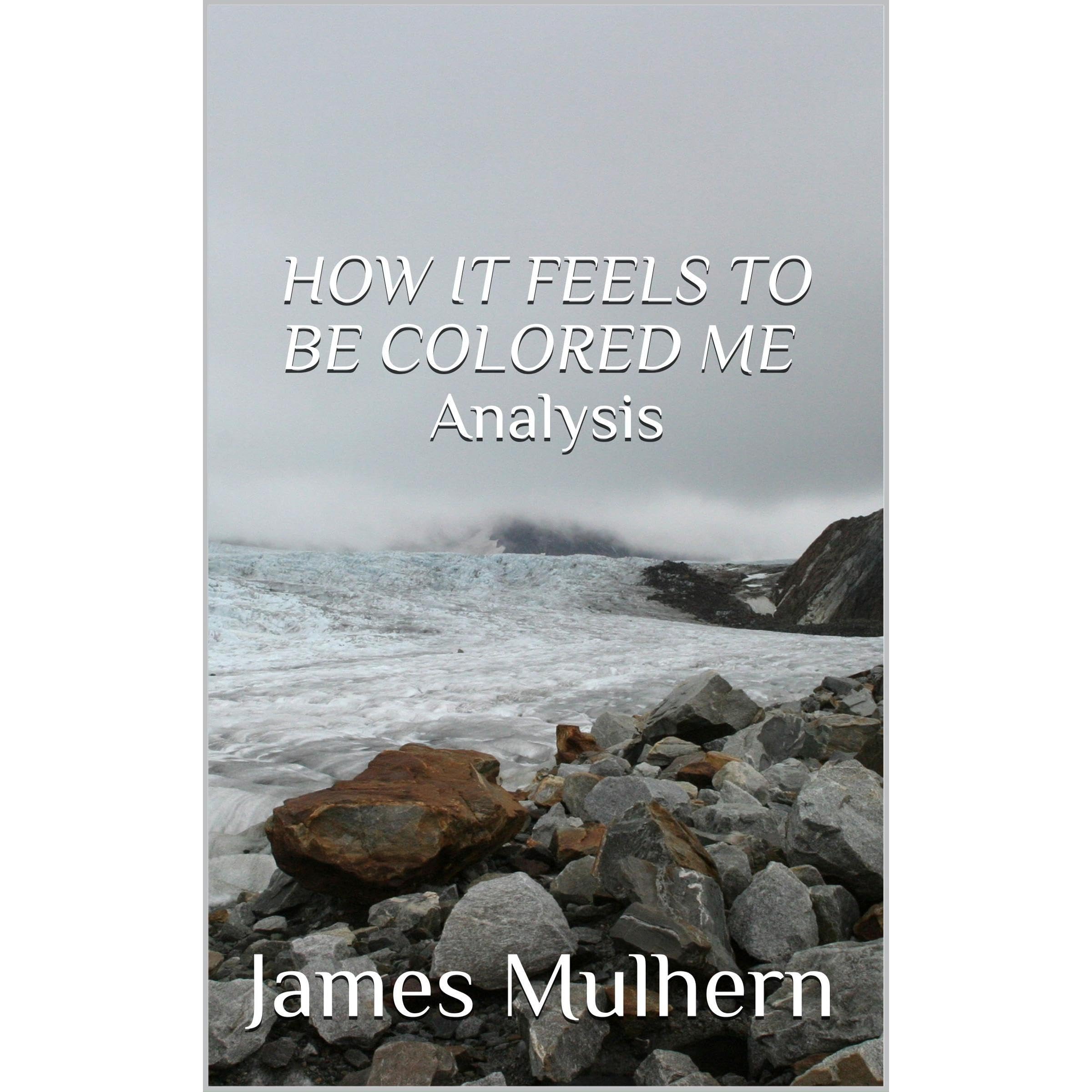 HOW IT FEELS TO BE COLORED ME Analysis