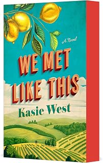 We Met Like This: A Novel