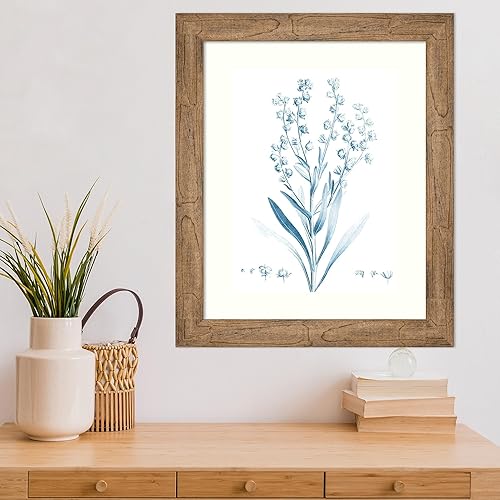 Miniatura 5 de Amanti Art Vision Studio - Lienzo decorativo para pared, 24 x 20 pulgadas, botánico antiguo en azul I por Vision Studio, arte de pared de flores,