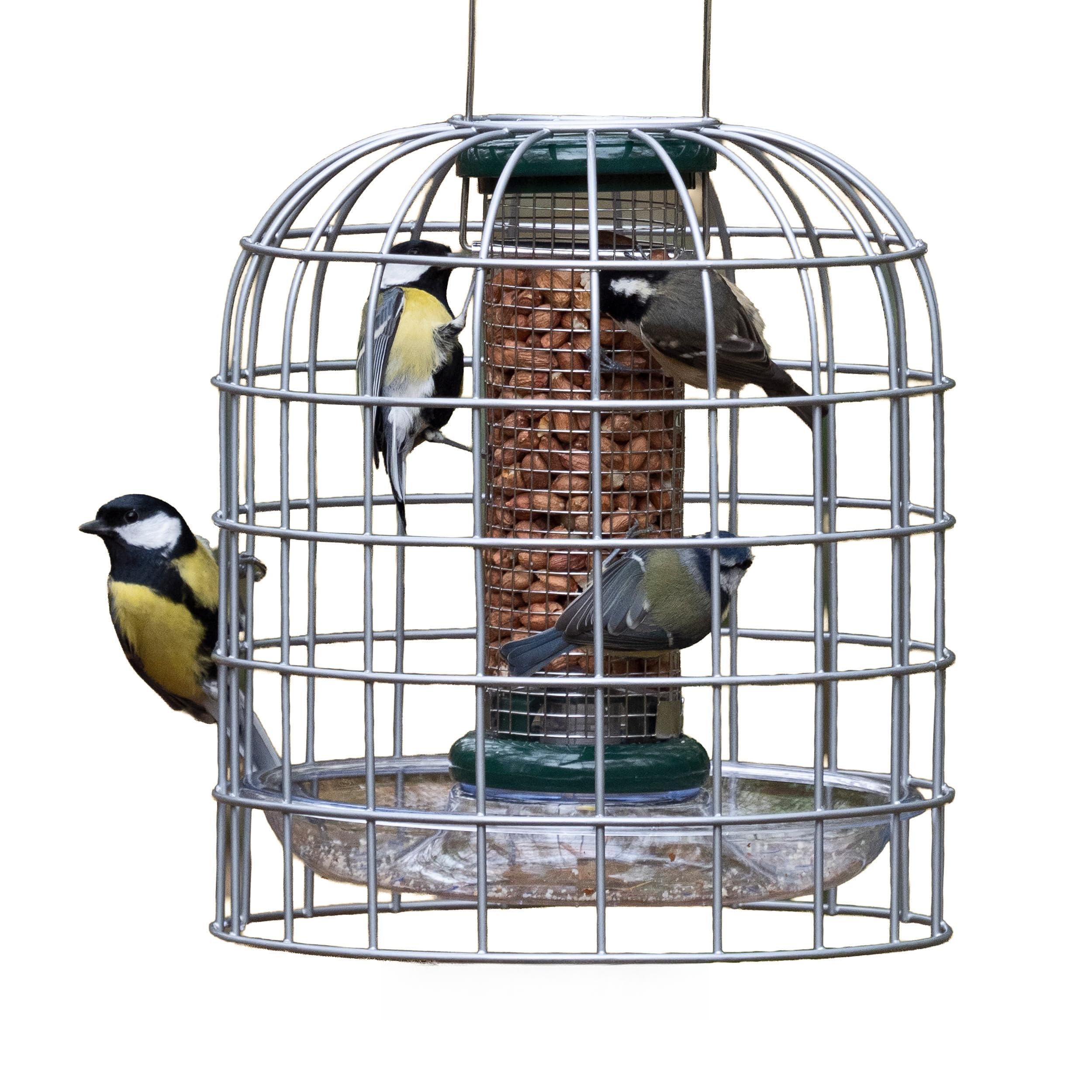 Birdfeeder Guardian Jacobi Jayne - Squirrel-Proof Bird Feeders UK – Hanging Bird Feeder Protection for Bird Feeders for Small Birds Only - Small, Silver