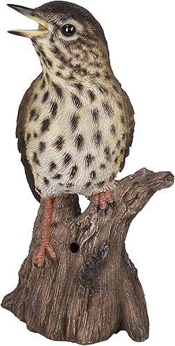 Miniatura 6 de HiLine Gift Ltd. - Estatua de pájaro cantor activado por movimiento, de pie en tocón, color marrón