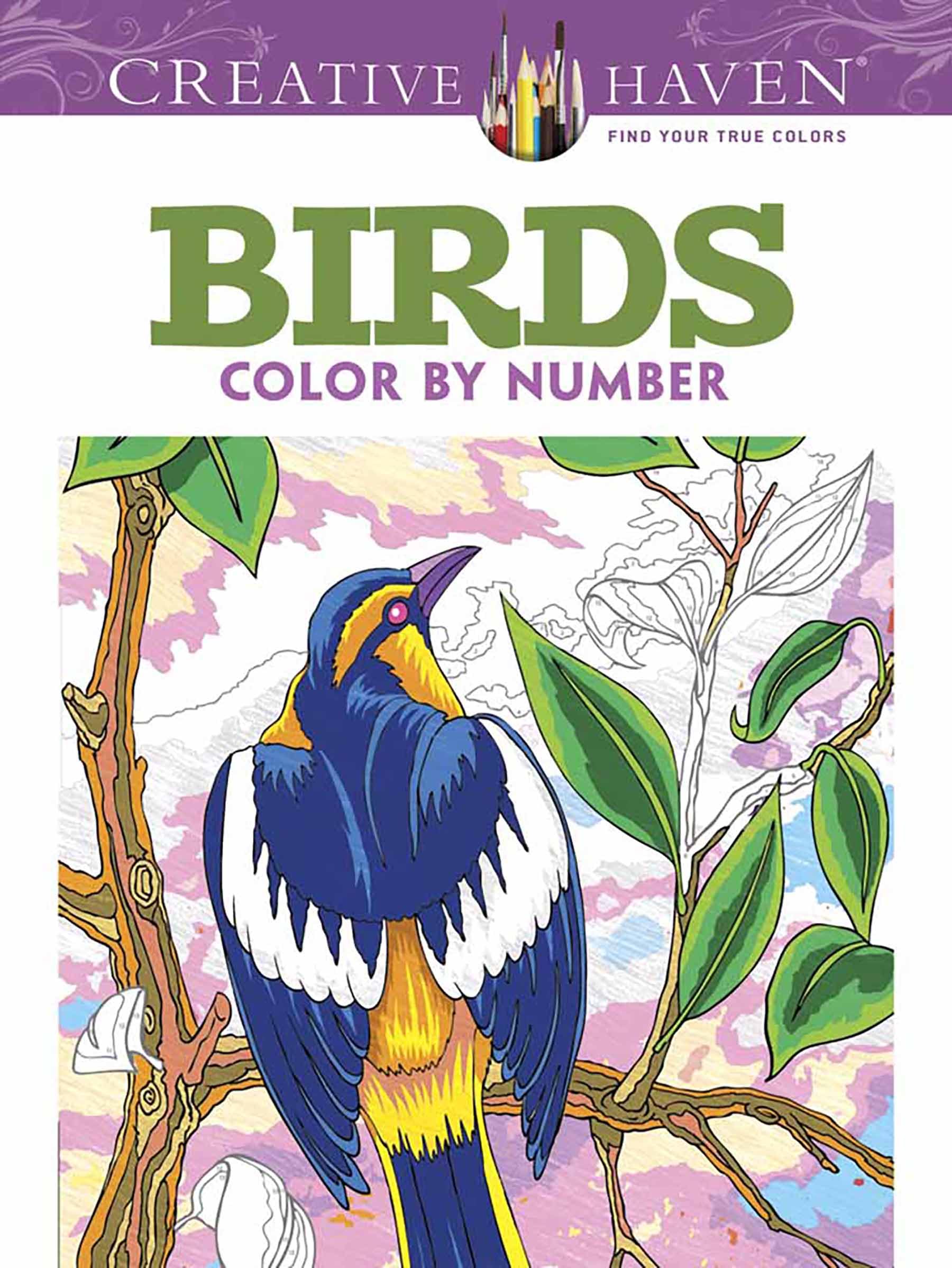 Creative Haven Birds Color by Number Coloring Book (Adult Coloring Books: Animals)