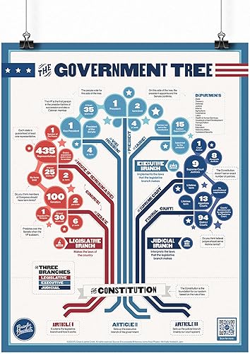 El árbol del gobierno  Póster de aula de 16 x 20 pulgadas  Estudios sociales  Historia de los Estados Unidos  Ciudad  Gobierno