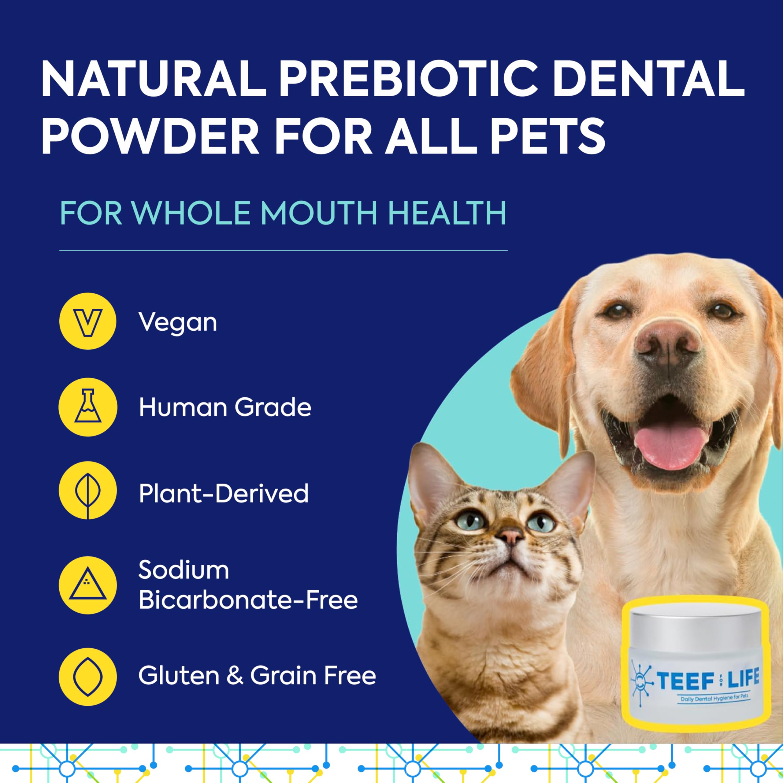 TEEF! Protektin42+K Cuidado dental diario derivado de plantas para todas las mascotas (sin sodio), aditivo de agua dental, combate naturalmente la placa y el sarro, kit dental con 90 porciones de por