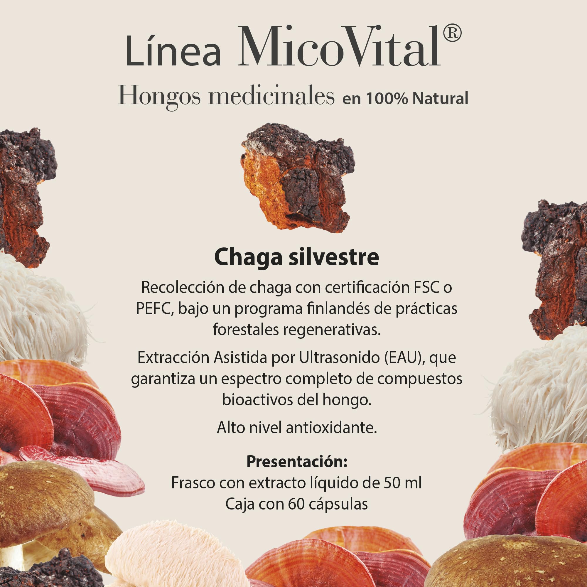 MicoVital® Chaga - Alto Nivel Antioxidante - Protege Contra el Daño Oxidativo - Contribuye a las Defensas Inmunológicas Naturales - Efecto Antifatiga - 60 Cápsulas Vegetales - 100% Natural