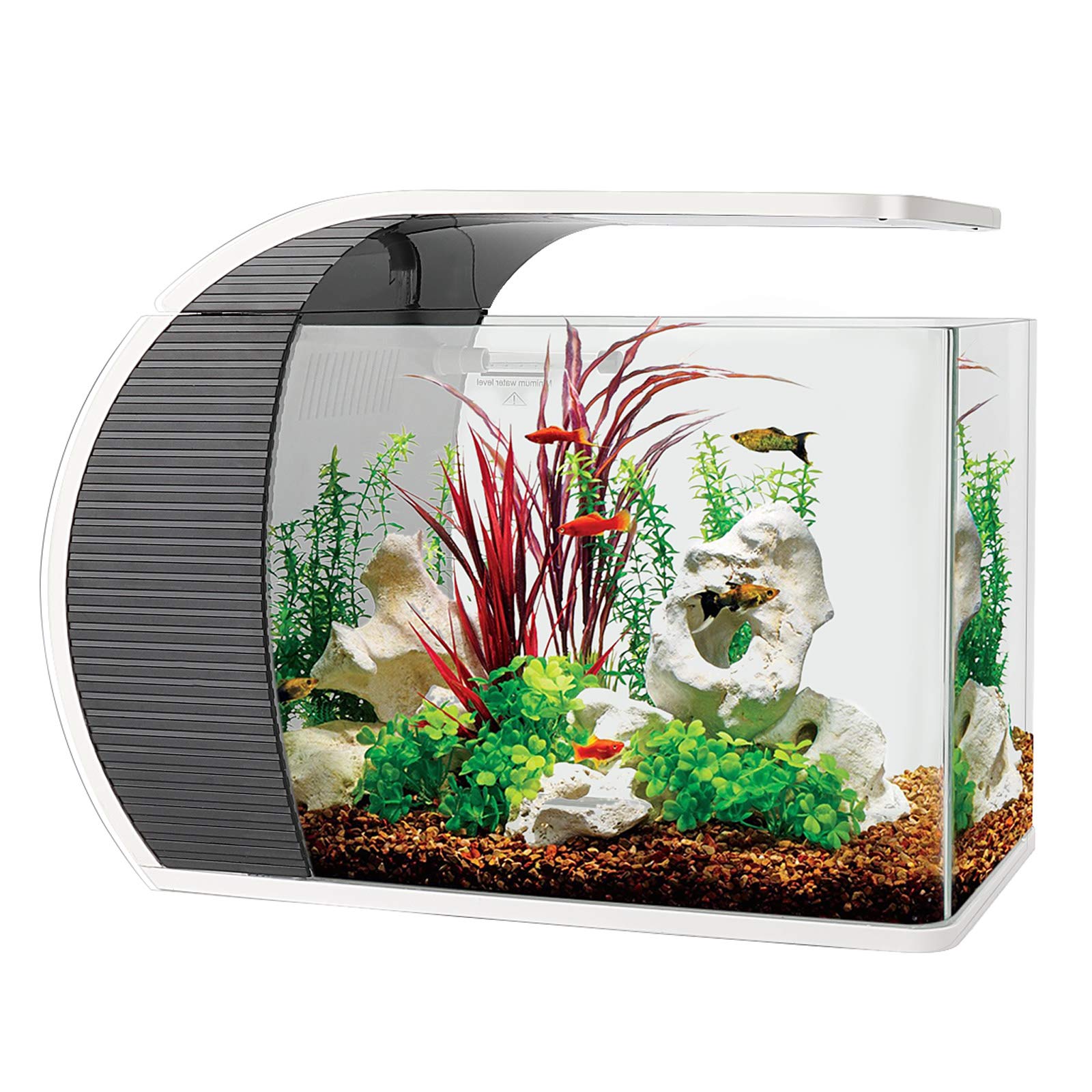 Buy hygger 5 Gallon Fish Aquarium Starter Kits, ArcShaped Aquarium Kit