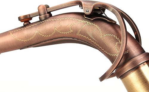 Miniatura 32 de Kit de cuidado para saxofón con 11 reeds, 8 para saxofón alto cojines, funda, Glory E Flat, Dorado