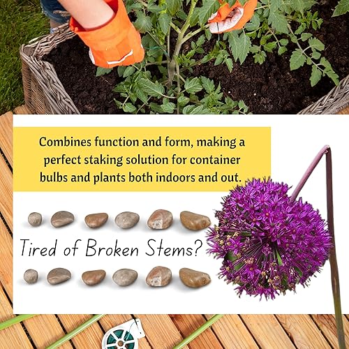 Miniatura 3 de Orchid Nerd Orquídea de alambre soporta 13 pulgadas, soporte de alambre de orquídea, paquete de 10