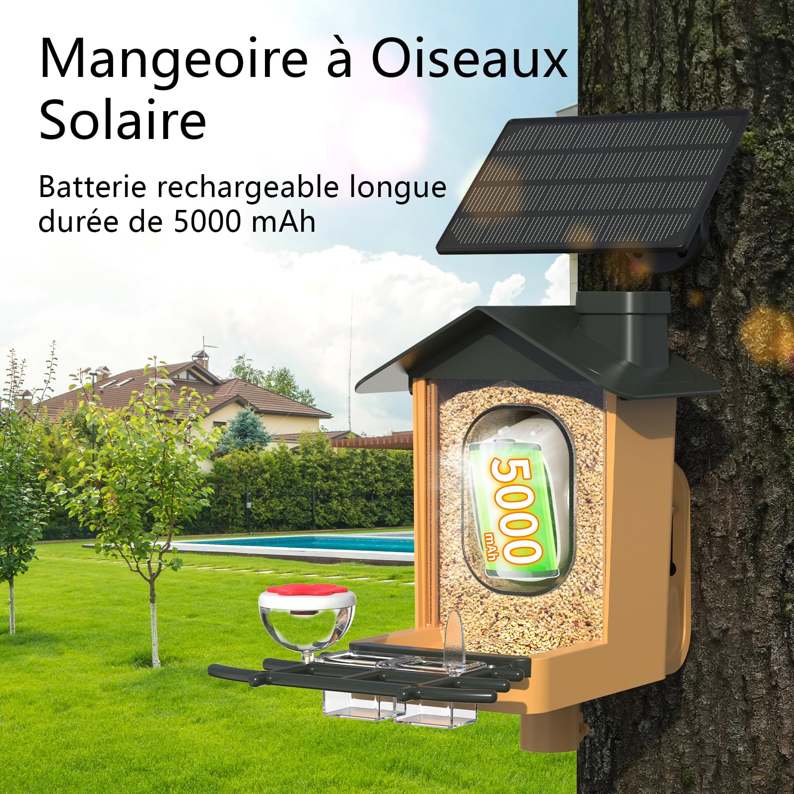 Mangeoire à Oiseaux Avec Caméra 2K HD Et IA - Alimentation Solaire, étanche IP65, Notification Instantanée - 10