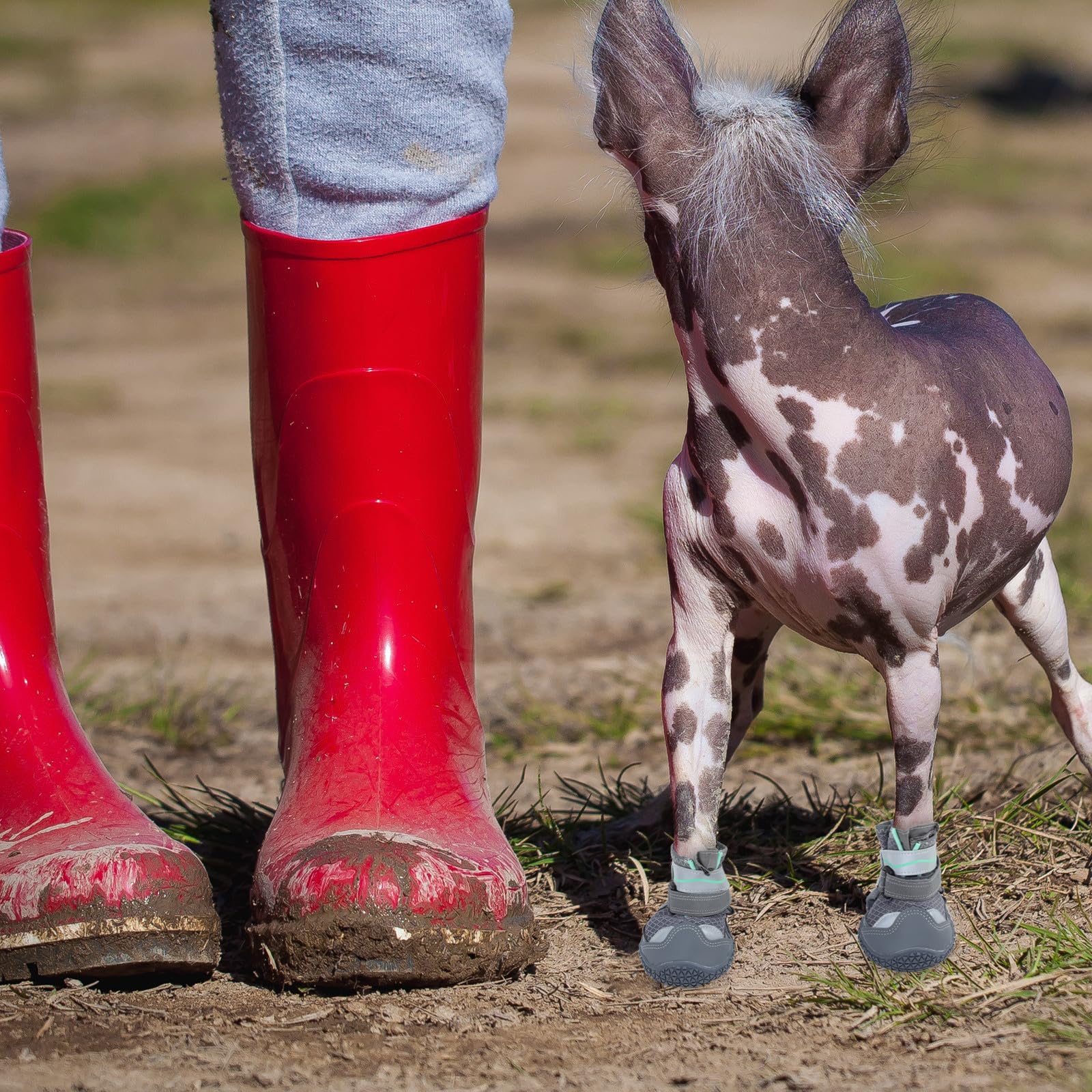 4 Piezas Botines para Perros Ligeros Antideslizantes de Goma Talla