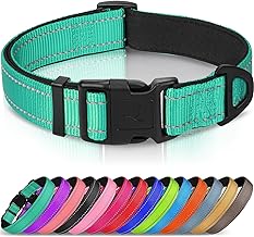 Joytale Reflective Dog Collar,Soft Neoprene Padded Breathable Nylon Pet Collar Adjustable for Large Dogs,Teal,L