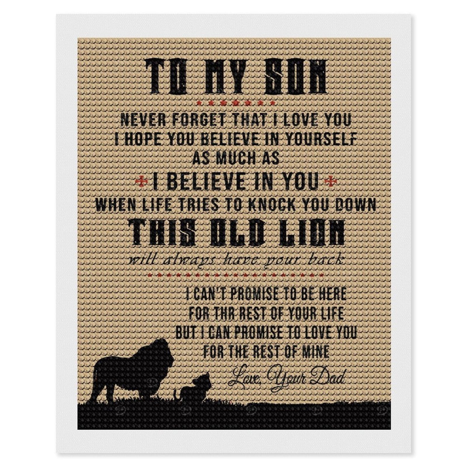 Junmoney to My Son Love Dad(2) Diamond Painting Kit 16"x20", Thoughtful Handmade Gift, for Creative Relaxation, Printed Canvas, Cosy Home Accent