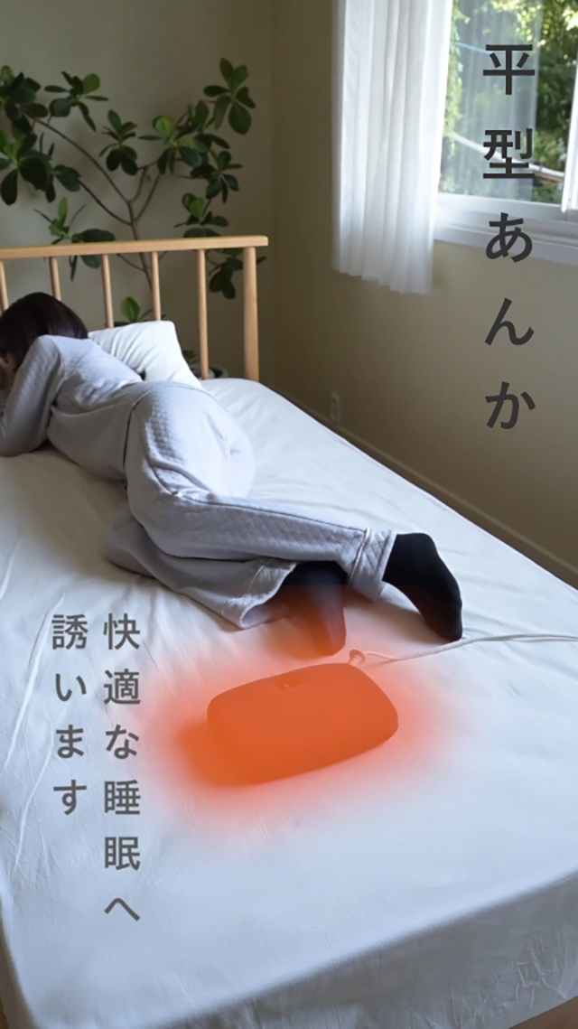 山善 電気あんか 平型 YDW-H607D