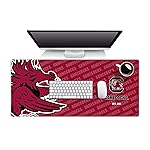 YouTheFan NCAA South Carolina Gamecocks Logo Series Desk Pad