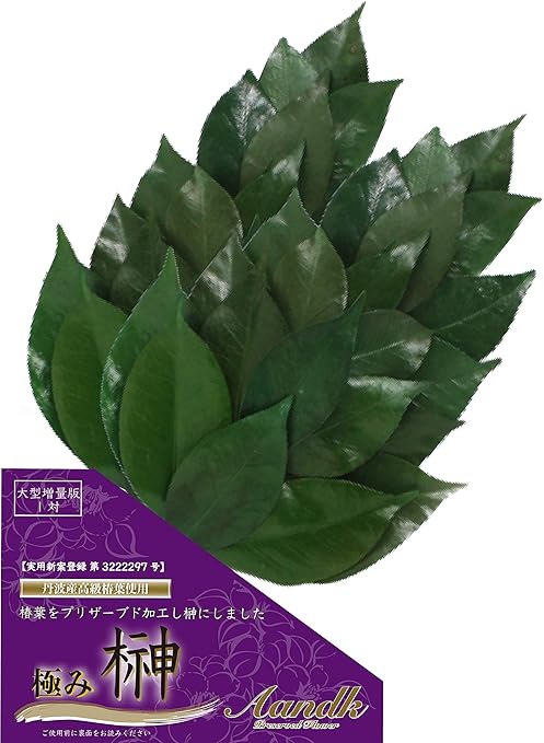 Amazon 極み 榊 大型 厚盛 タイプ 一対 造花 不使用 プリザーブド 榊 丹波産 高級椿葉使用 実用新案登録 第号 手作り ハンドメイド 枯れない 榊 サカキ 水やり不要 神棚 神具 榊 オンライン通販