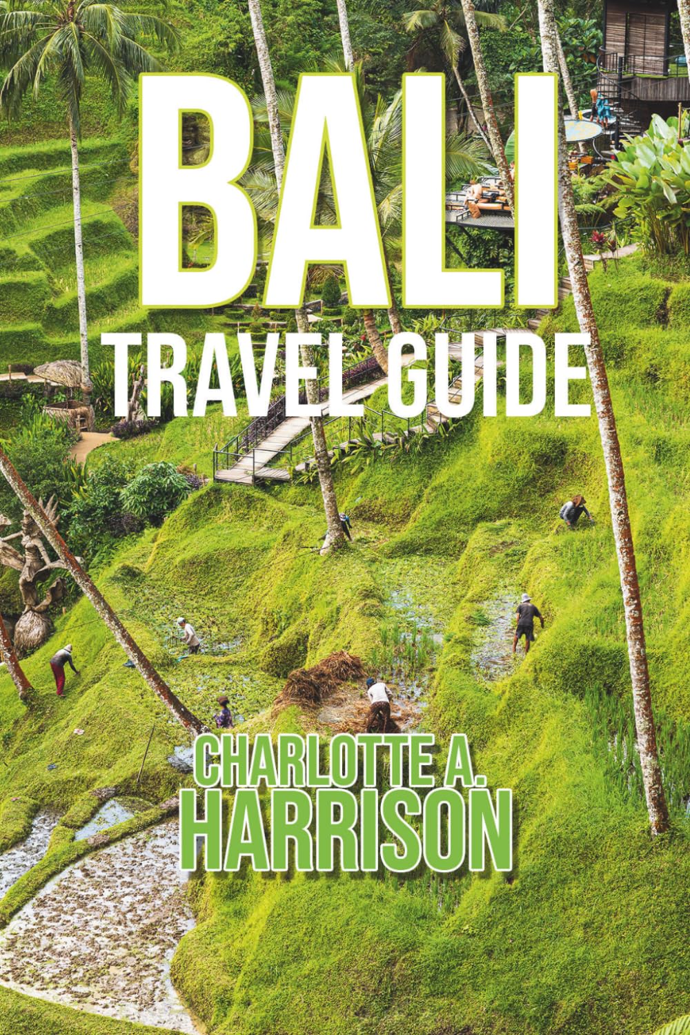 BALI TRAVEL GUIDE