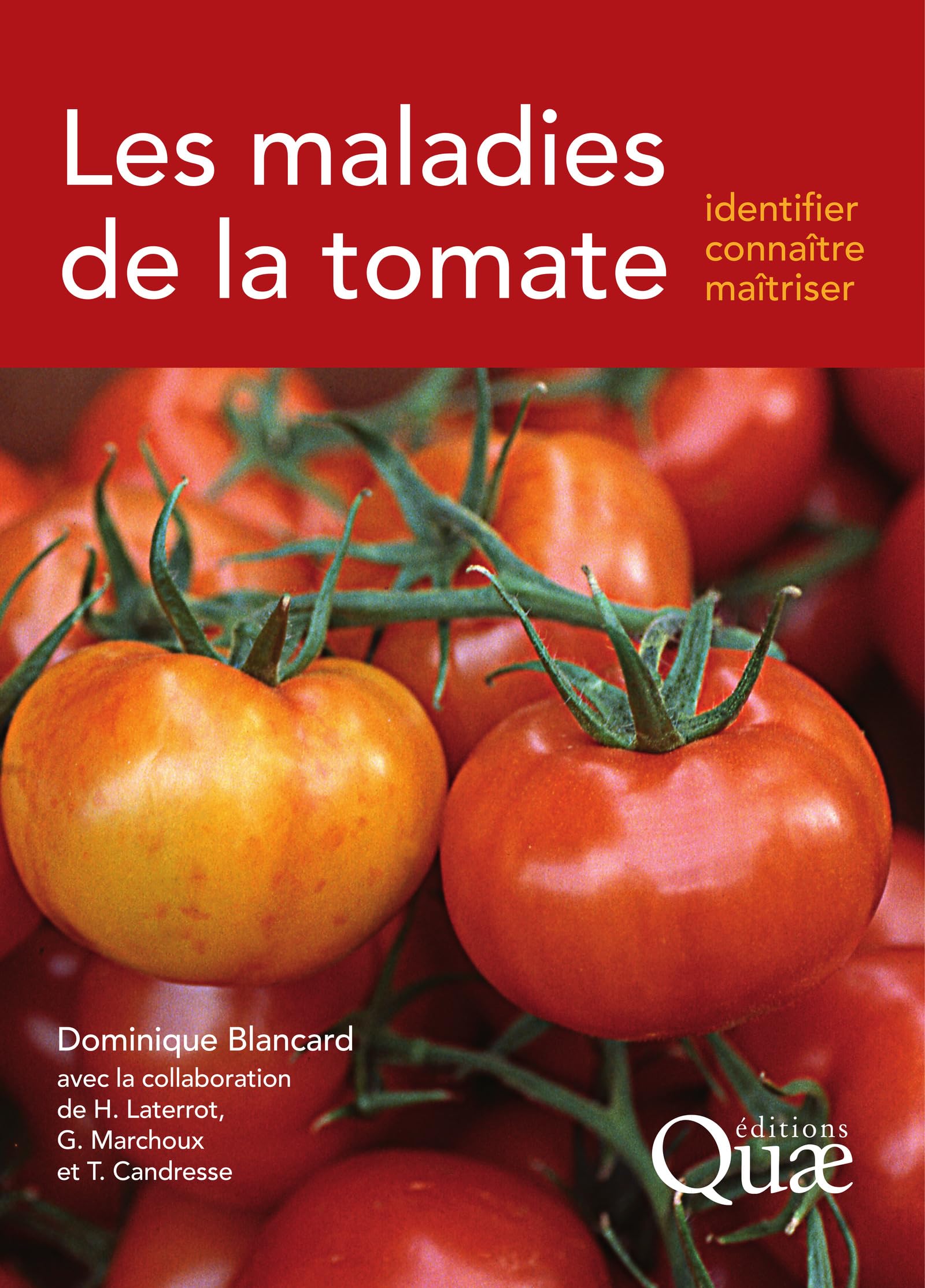 Les maladies de la tomate: Identifier, connaître, maîtriser