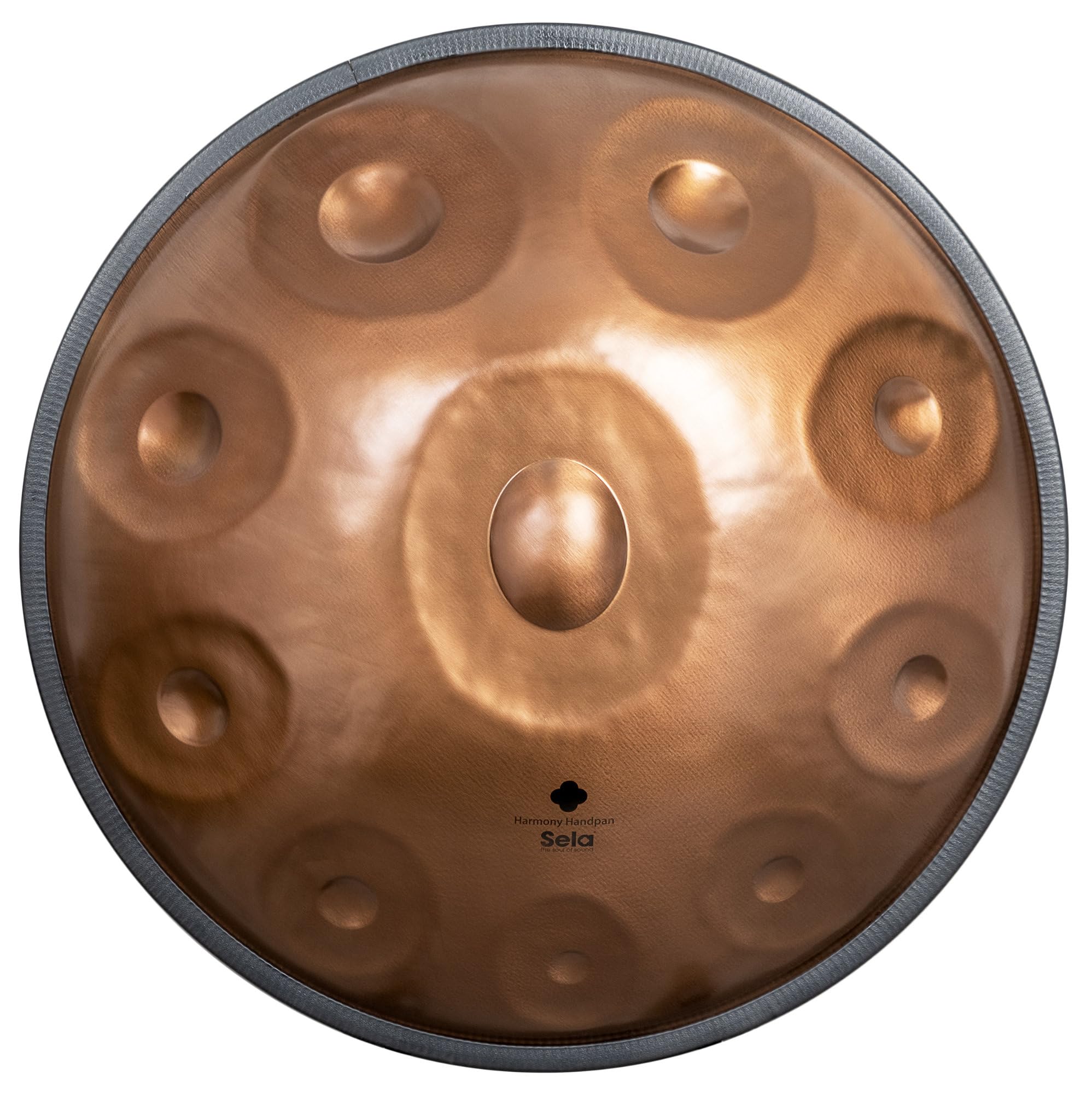 Harmony Handpan D Kurd 10 Phoenix Steel