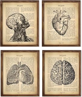 Vintage Human Anatomy Definition Poster Set Featuring Brain Torso Heart Lungs Illustrations for Medical Classroom Display, Biology Lab Inspiration, Home Office Learning Wall, Study Desk Reference, Dorm Science Boost, Med Student Surprises, Aspiring Doctor Tokens, Nurse Appreciation Gifts, Teacher Honors, Scientist Presents, Parent Discovery Milestones, Birthday Puzzle Gifts, Graduation Anatomy Markers, Festival Fact Keepsakes, Mentorship Tokens - 8x10 Unframed Print Set
