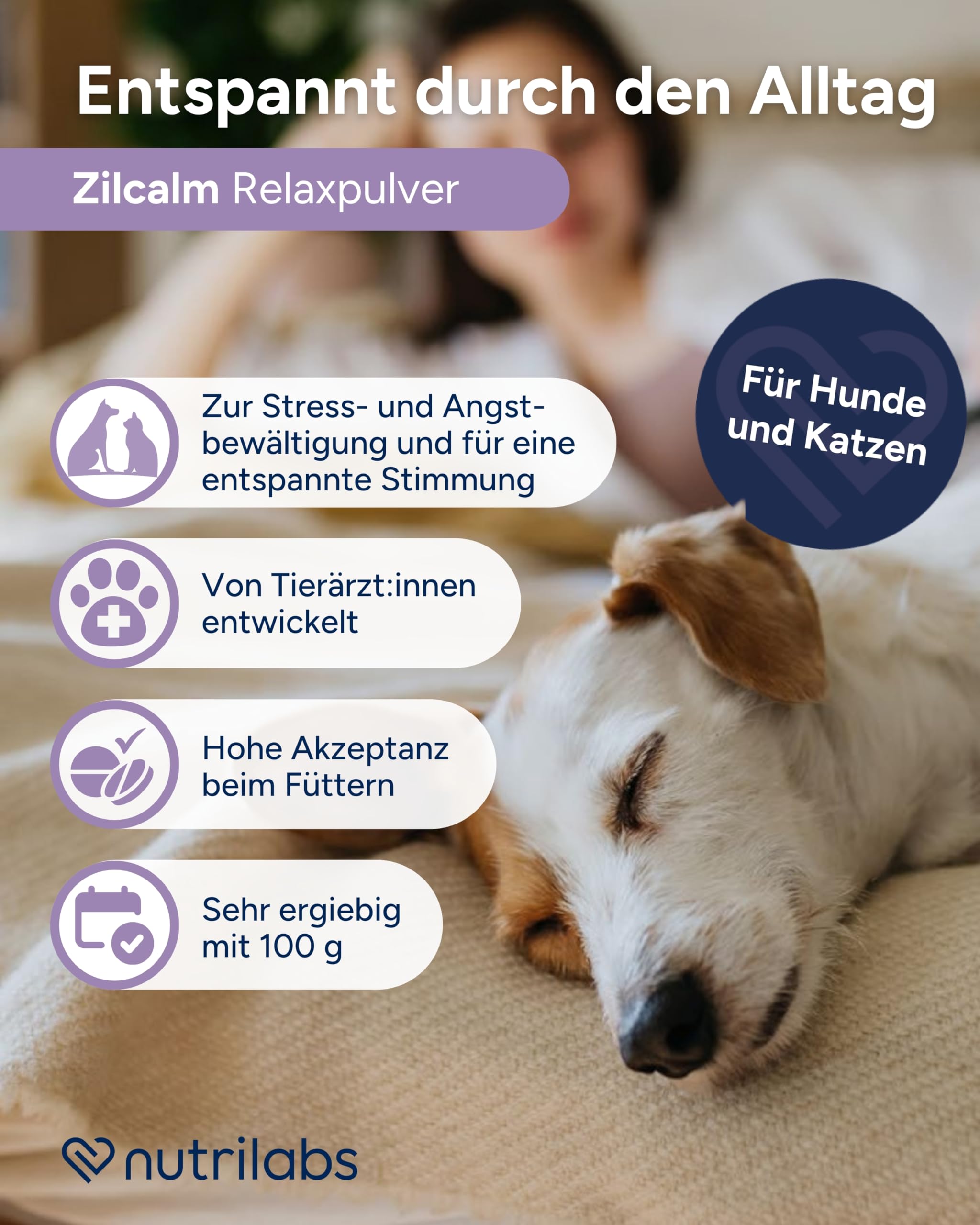 NutriLabs Zilcalm Beruhigungspulver für Katzen & Hunde - 100g - Mit Milchprotein, Ashwagandha, Probiotika, L-Tryptophan uvm. - Beruhigungsprodukte für Haustiere - Nahrungsergänzungsmittel Katze & Hund