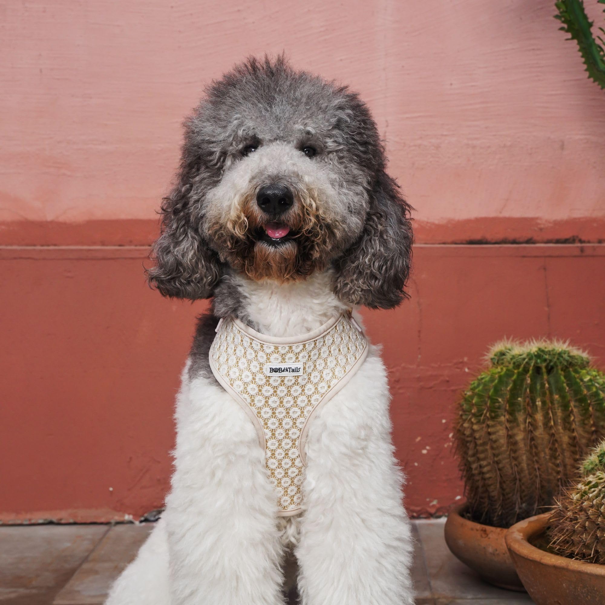 Hundegeschirr – Verstellbares No-Pull Geschirr für Kleine & Mittelgroße Hunde, Stylisches Leopardenmuster für Spaziergänge, Strand & Reisen