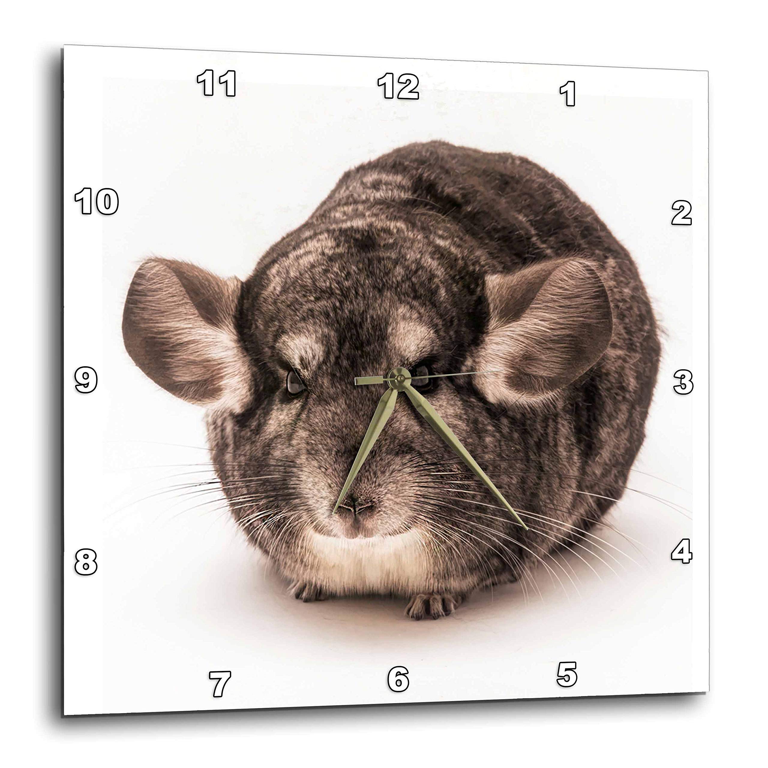 Horloge murale ronde 38,1cm motif animalier chinchilla photo