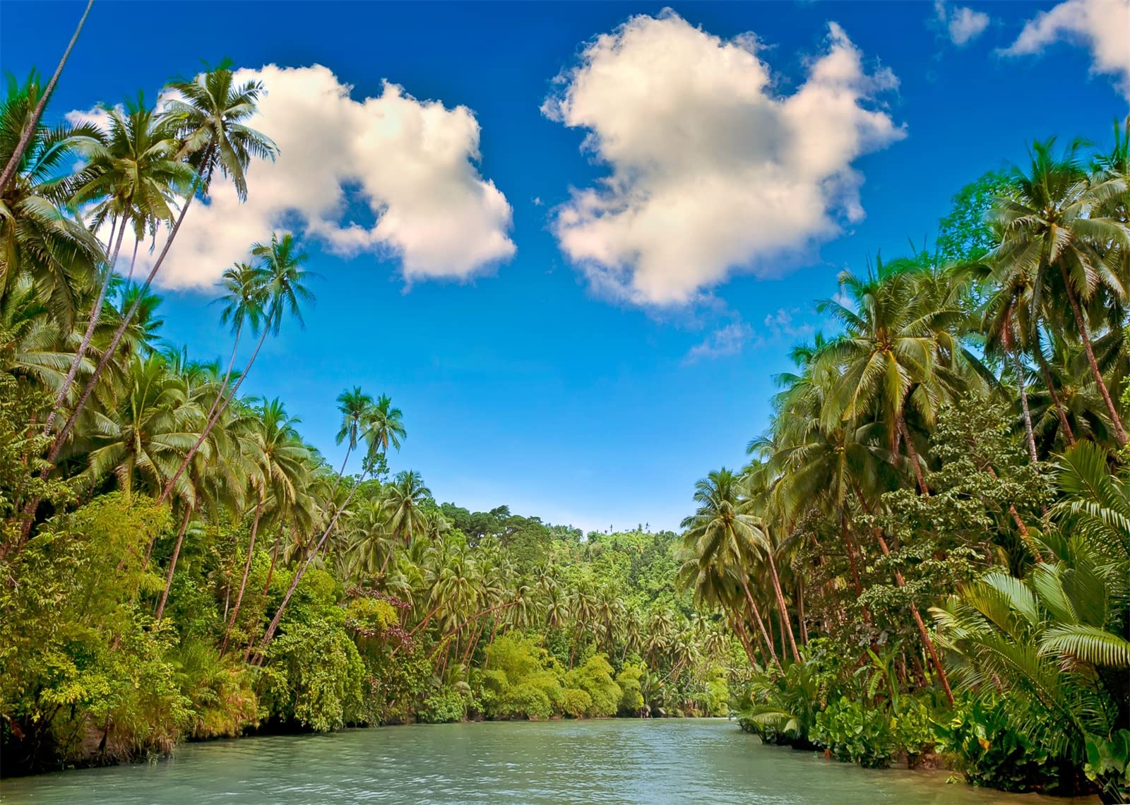BELECO 8x6ft Fabric Tropical River Palm Trees Scenery Backdrop Green Forest Blue Sky Outdoor Picnic Camping Hiking Summer Party Background Nature